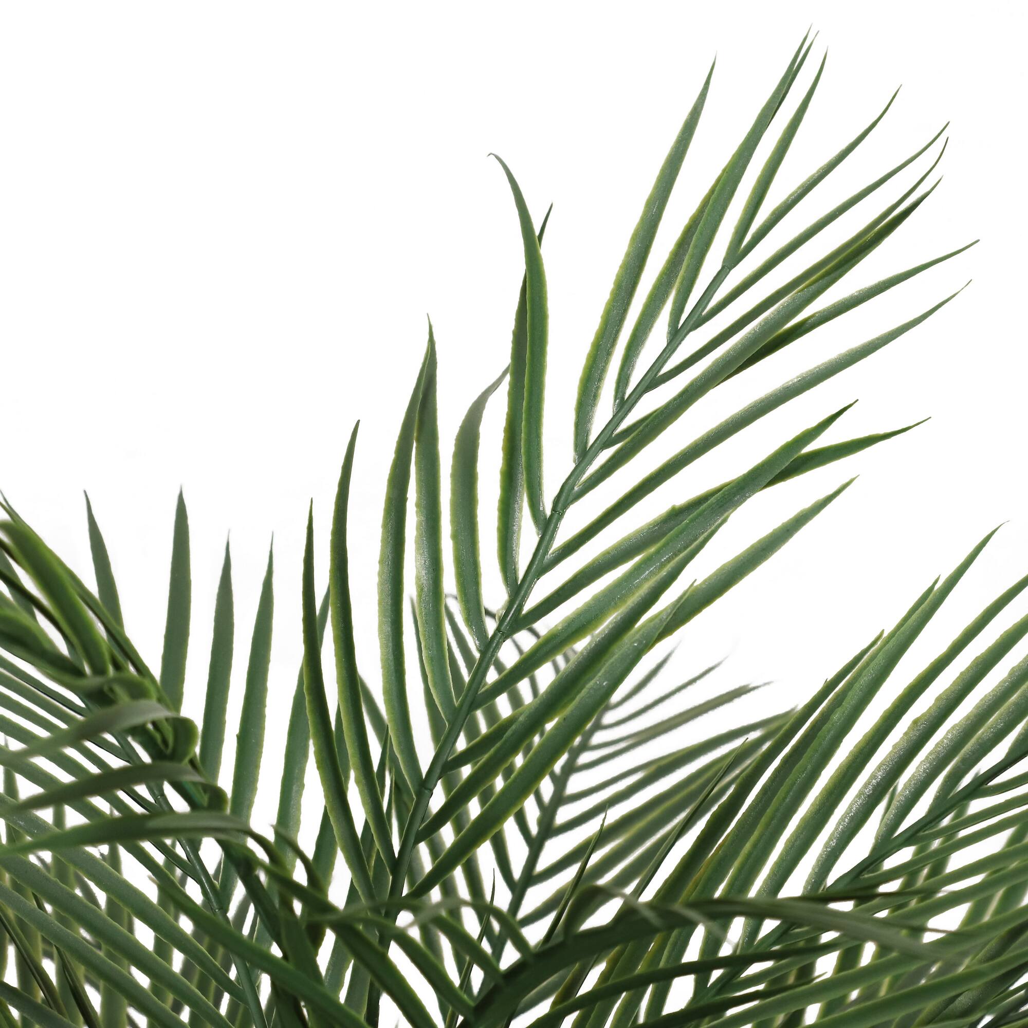 6 Pack: 2.5ft. Potted Areca Palm Tree